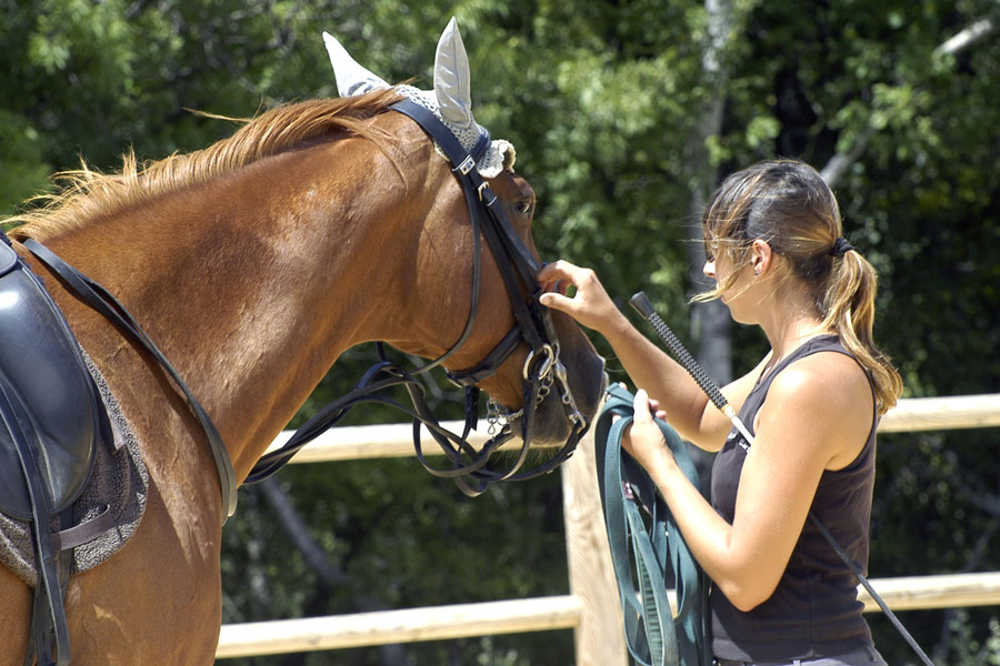 choisir-son-cheval