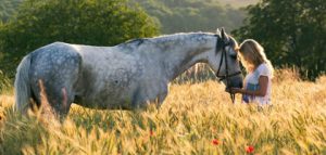 choisir-son-cheval