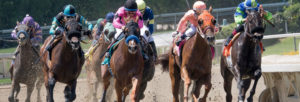La course de chevaux Palio delle Contrade